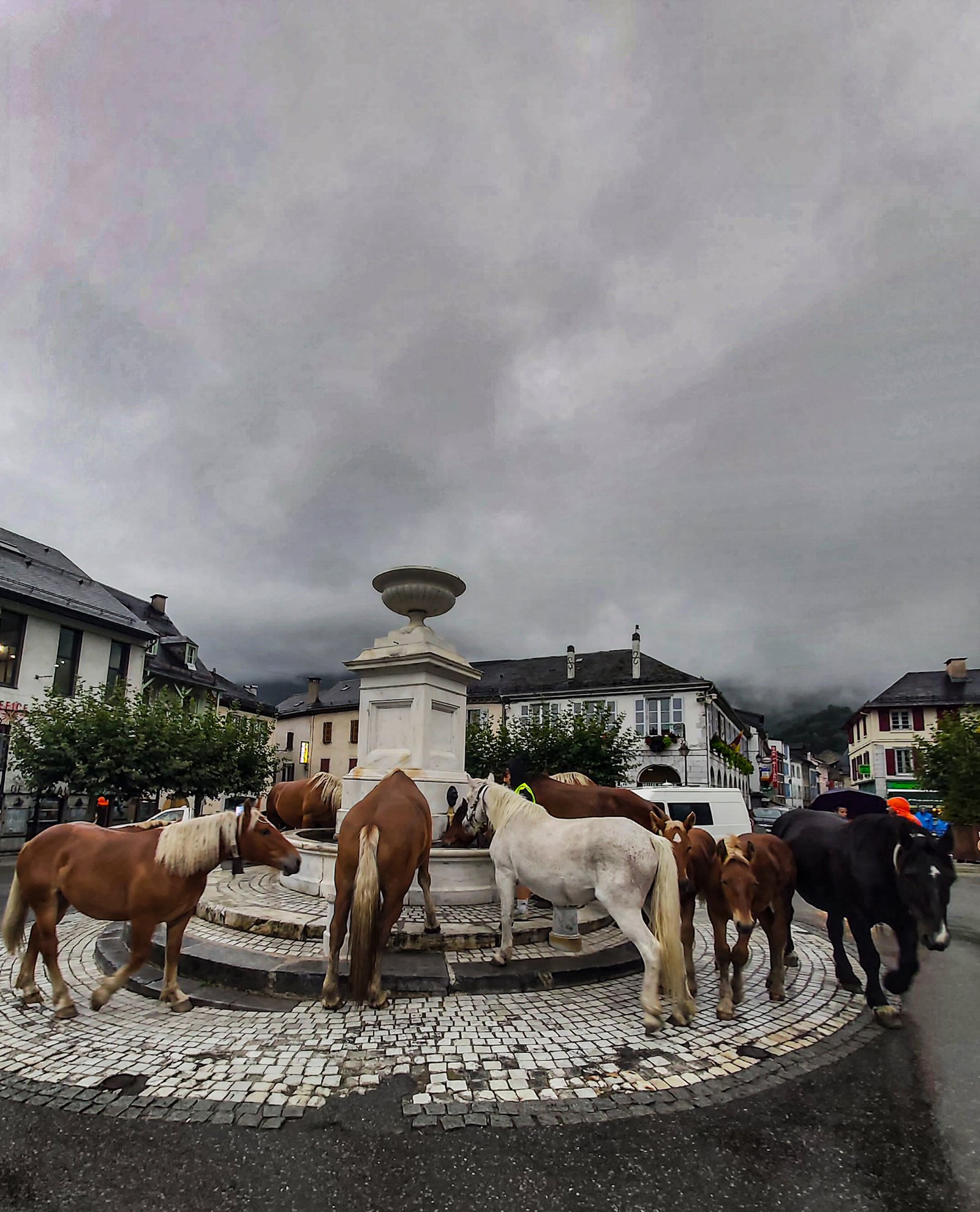Pause à la fontaine d’un village pendant la transhumance, eau et ombre